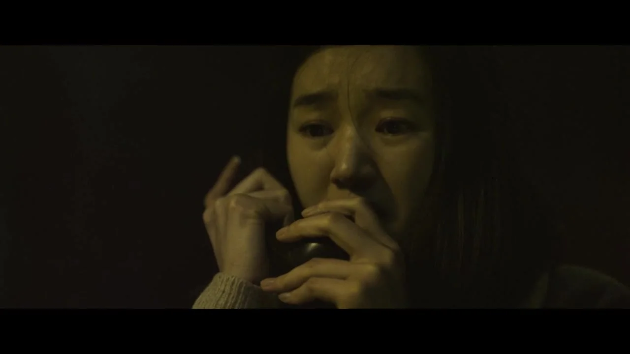 Государственный представитель 2