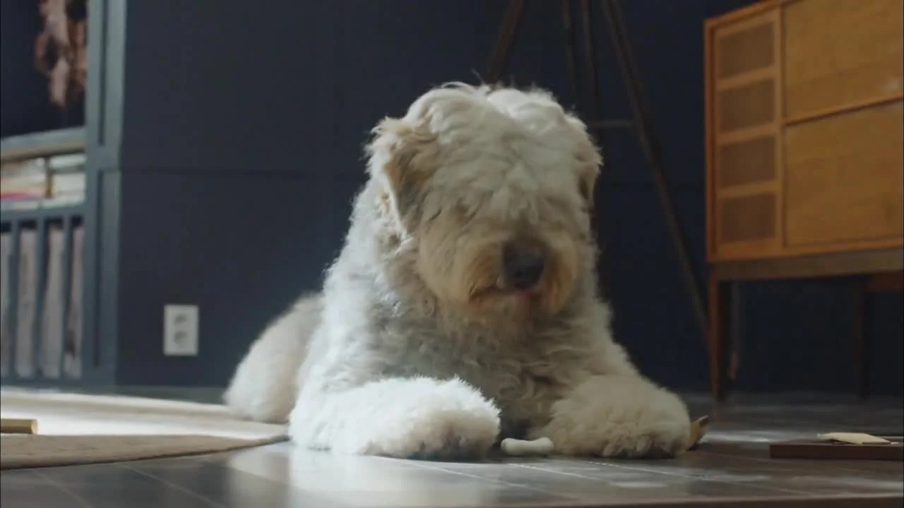 Чикагская печатная машинка