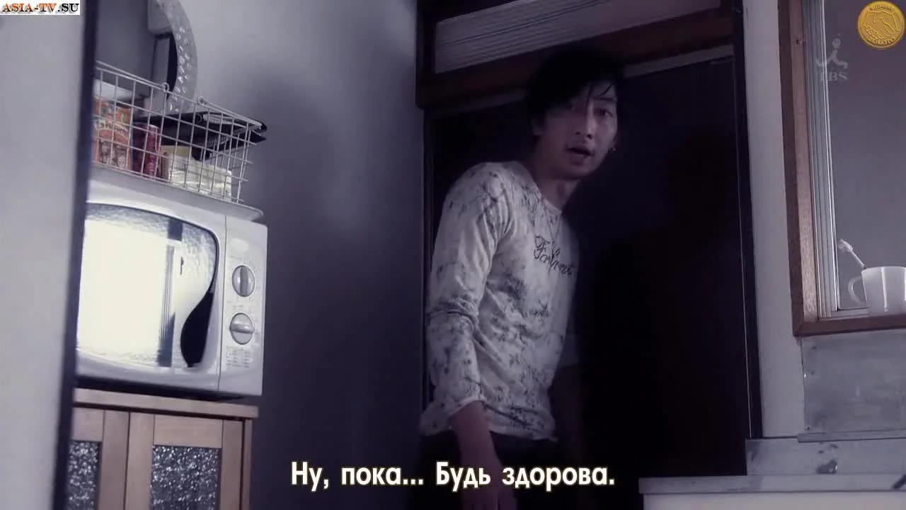 Доктор Аист