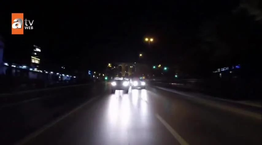 Белая гвоздика