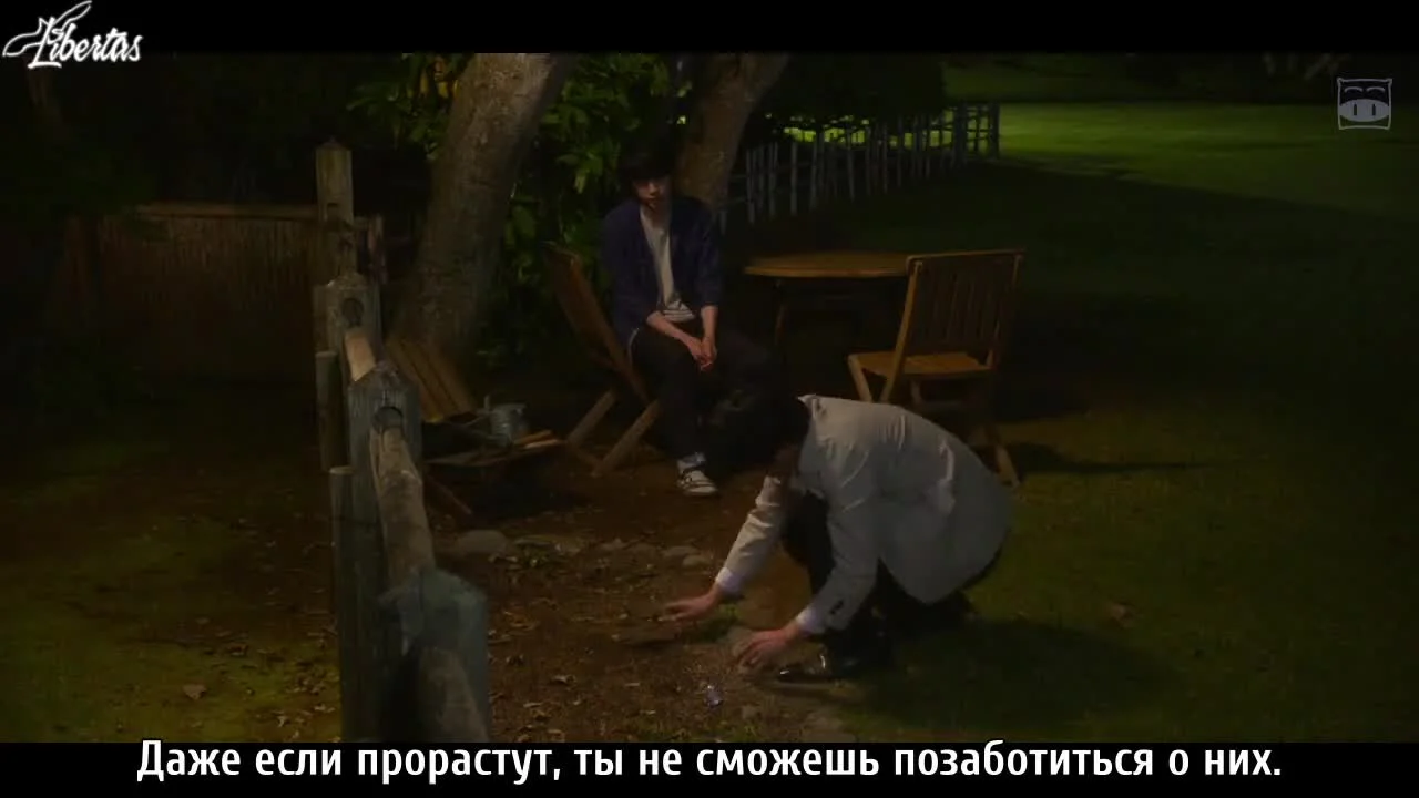 Цветут ли цветы?