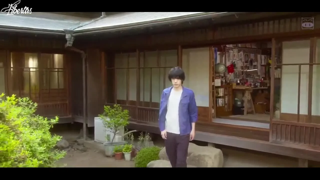 Цветут ли цветы?