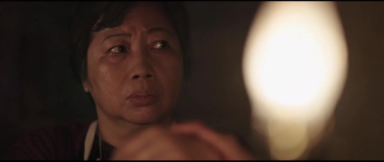 Дом с прислугой. Проклятие госпожи