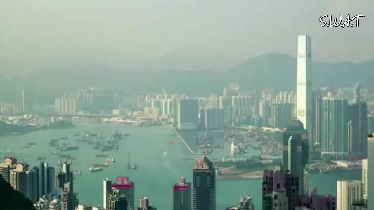 Цветы укажут верный путь