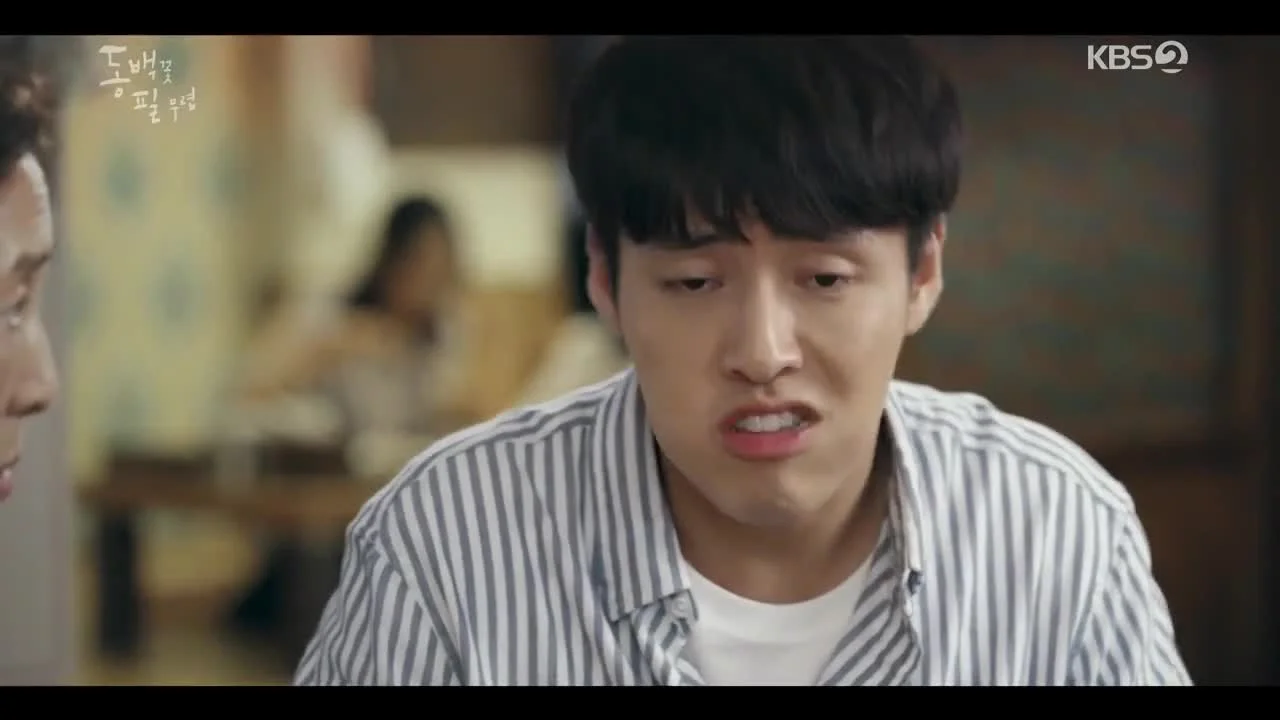 Когда цветет камелия