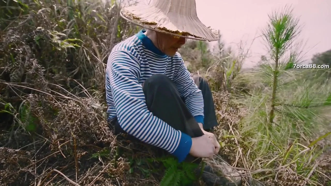 Четыре весны