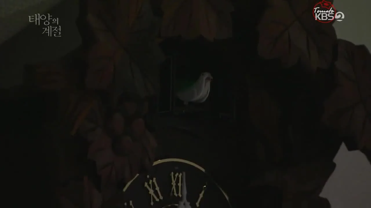 Солнечный сезон