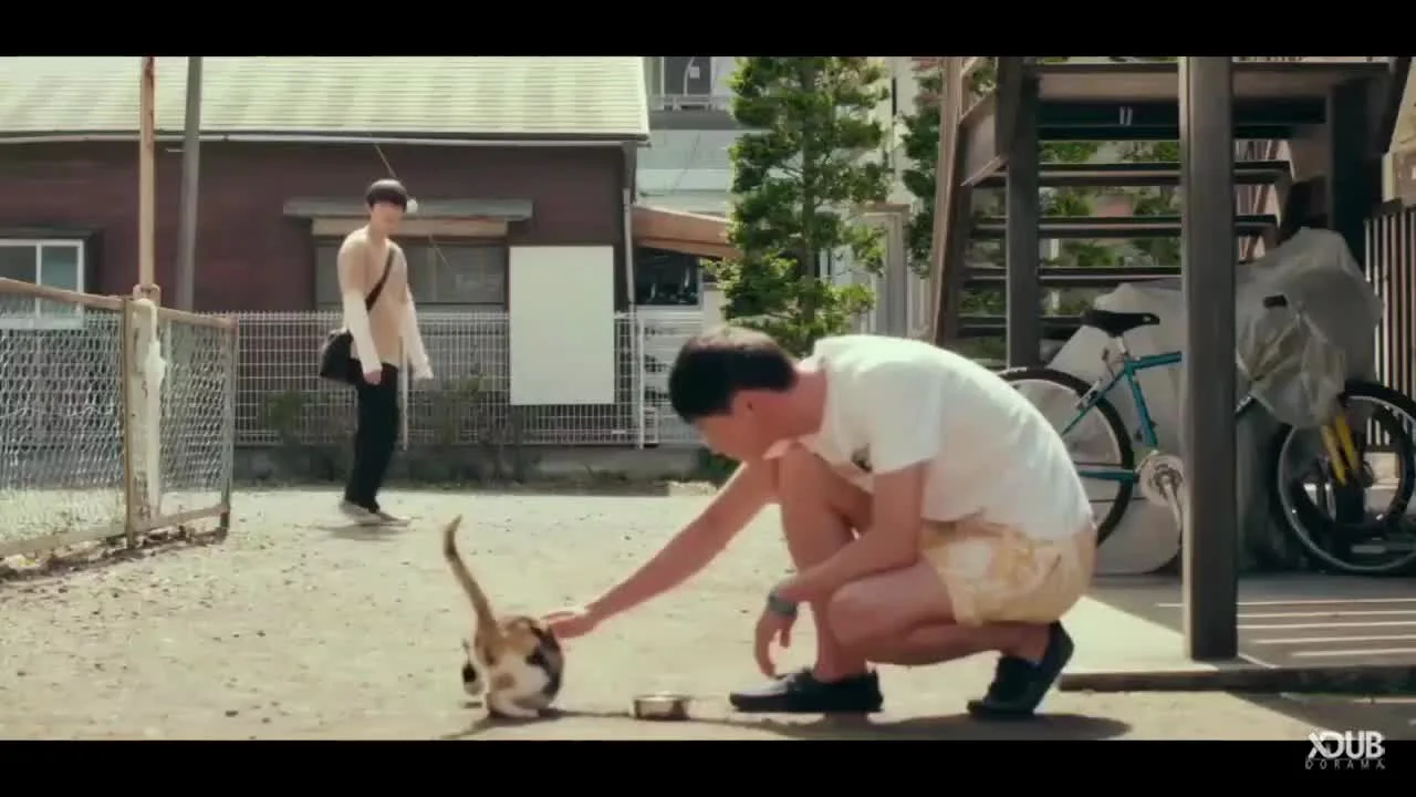 Любовь и убийство овечки и волка