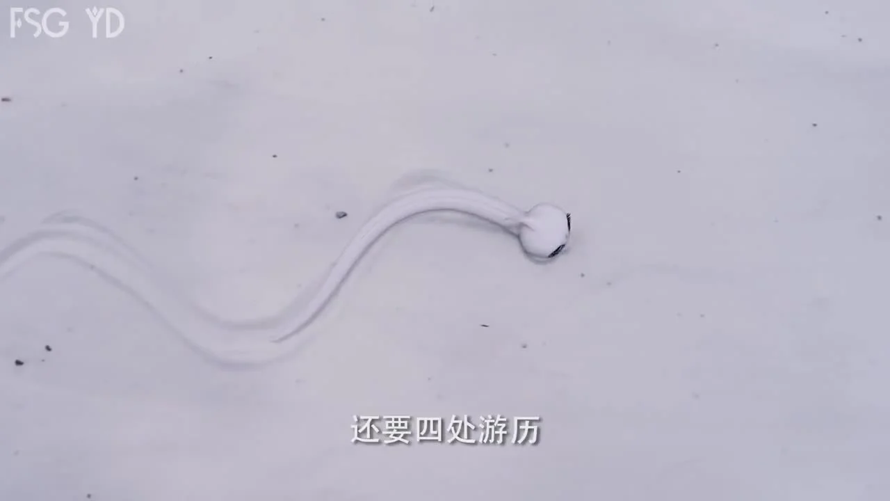 Судьба белой змеи