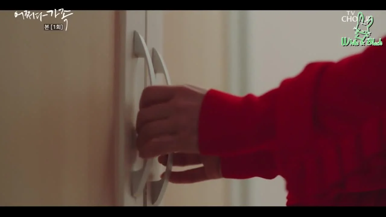 Семья по случайности