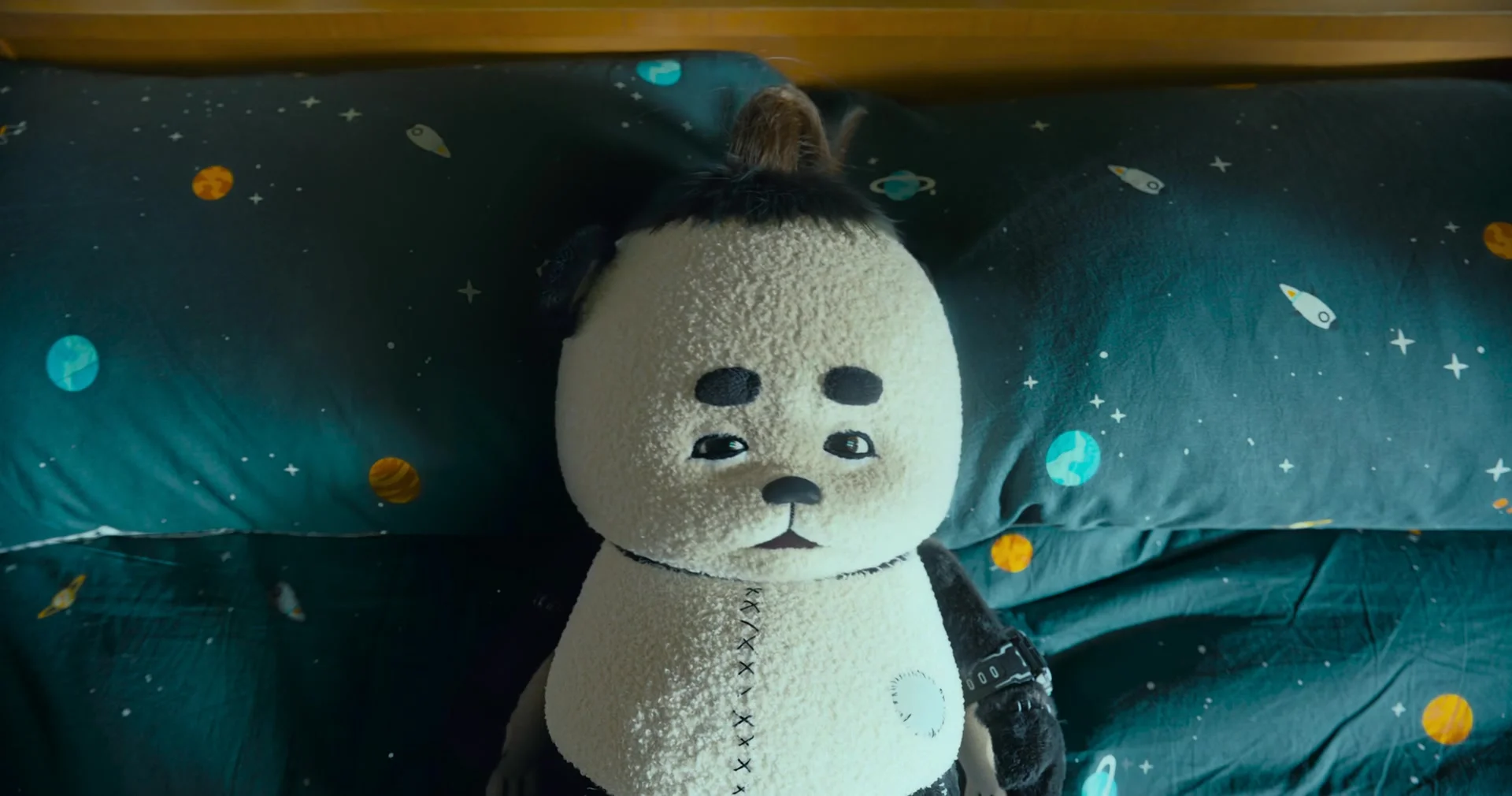 Панда из космоса