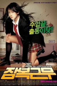  Под прикрытием 