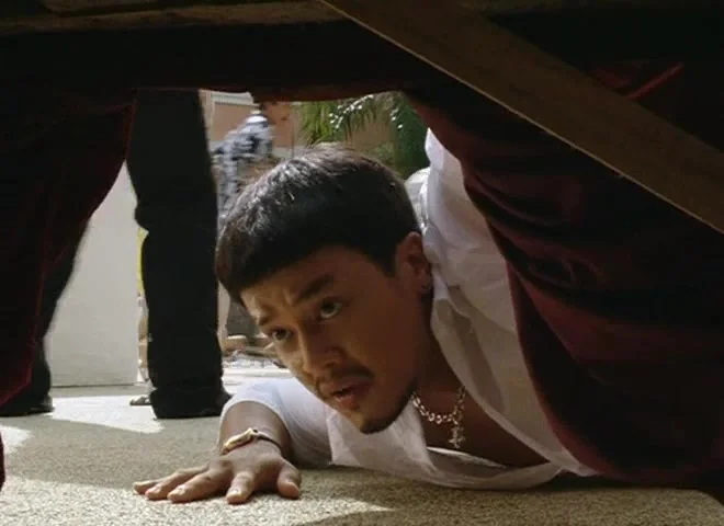 Дорожная банда «4 лапы»