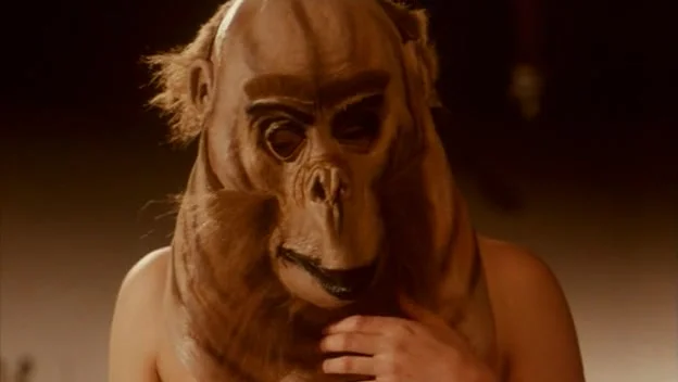 Девушки в неволе: Психо камера пыток