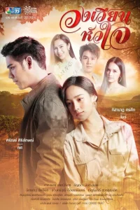  Поворот любви 