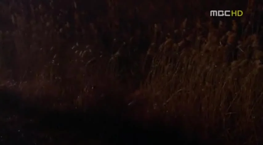 К востоку от рая