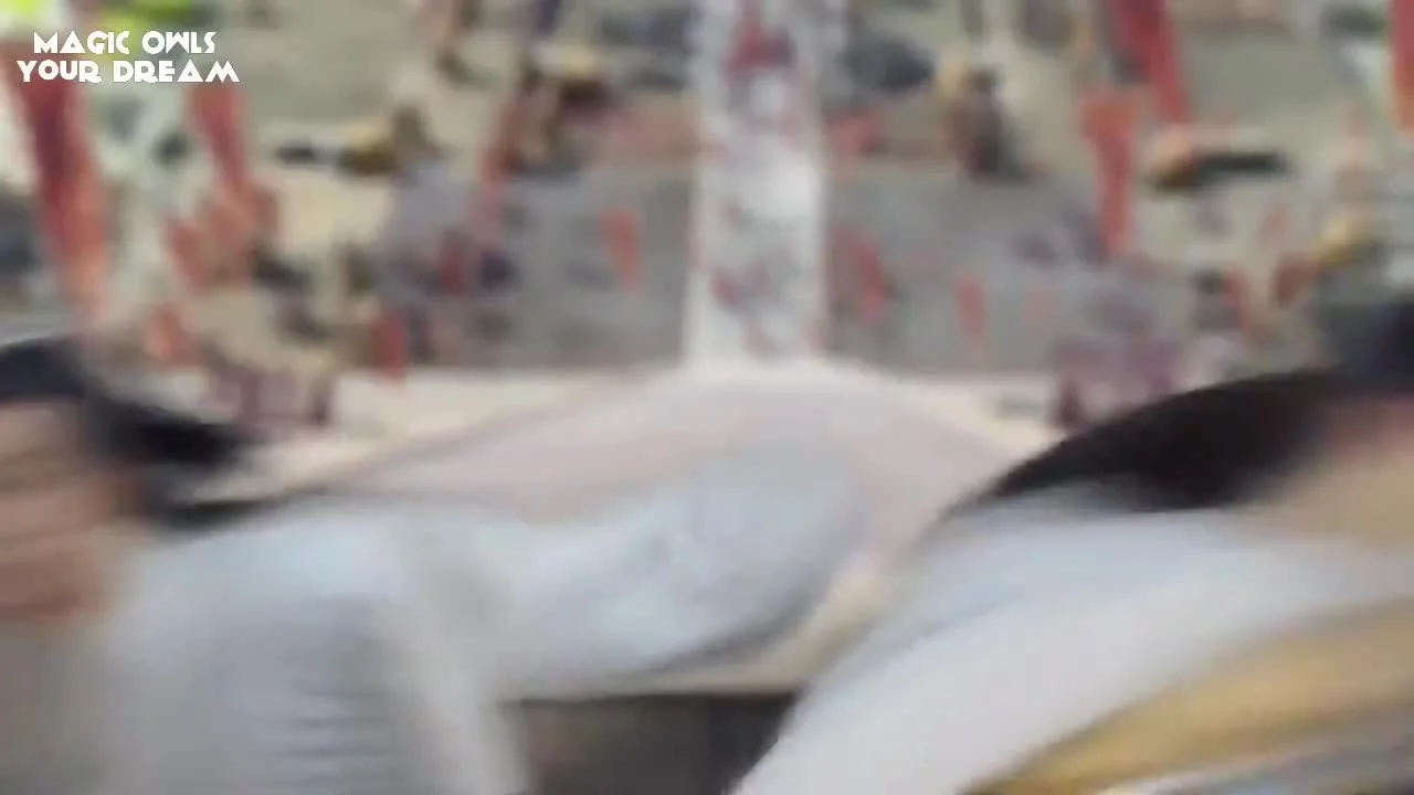 Песня феникса