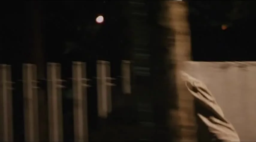 Он встретил любовь