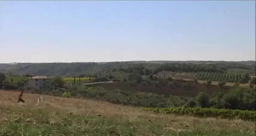 Мерцание светлячков