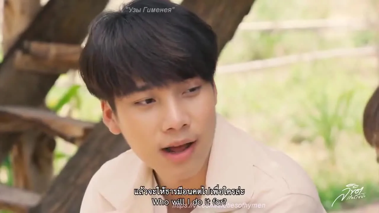 В объятиях родного города