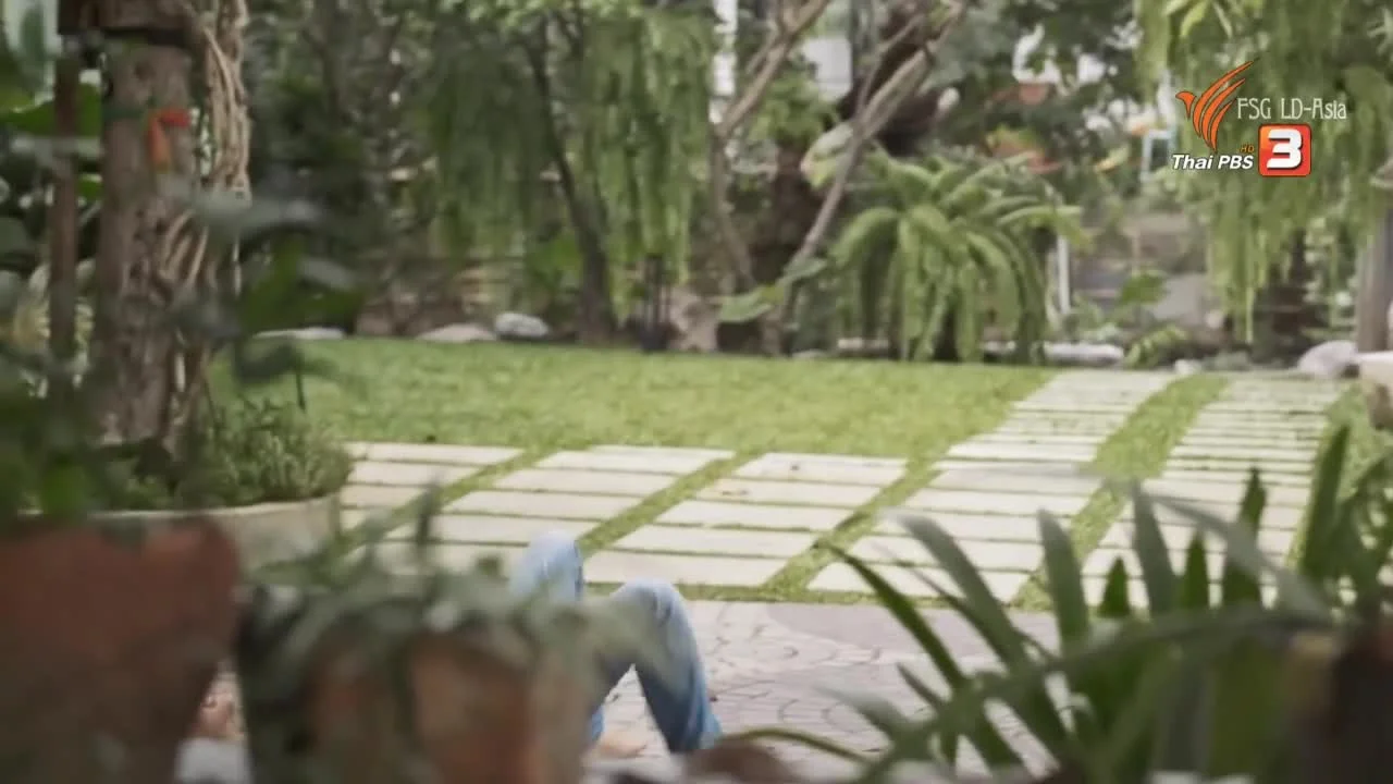 Коробка чая