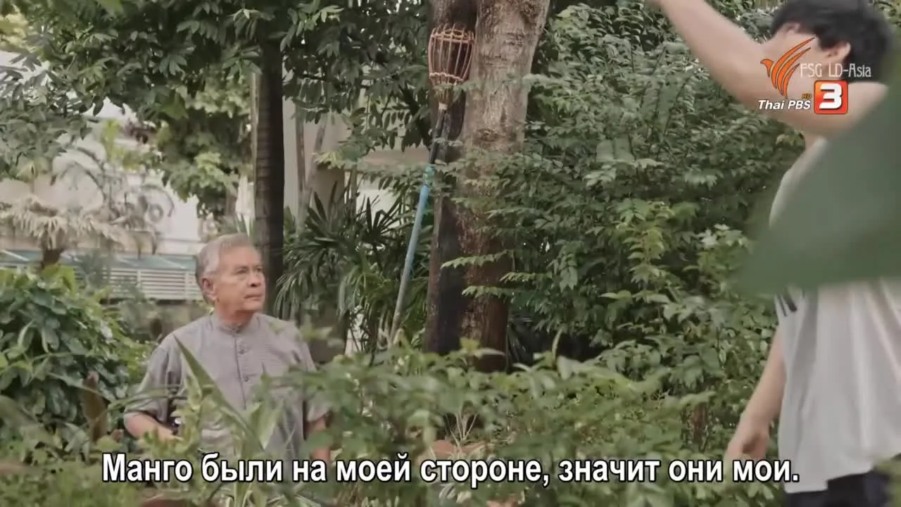 Коробка чая