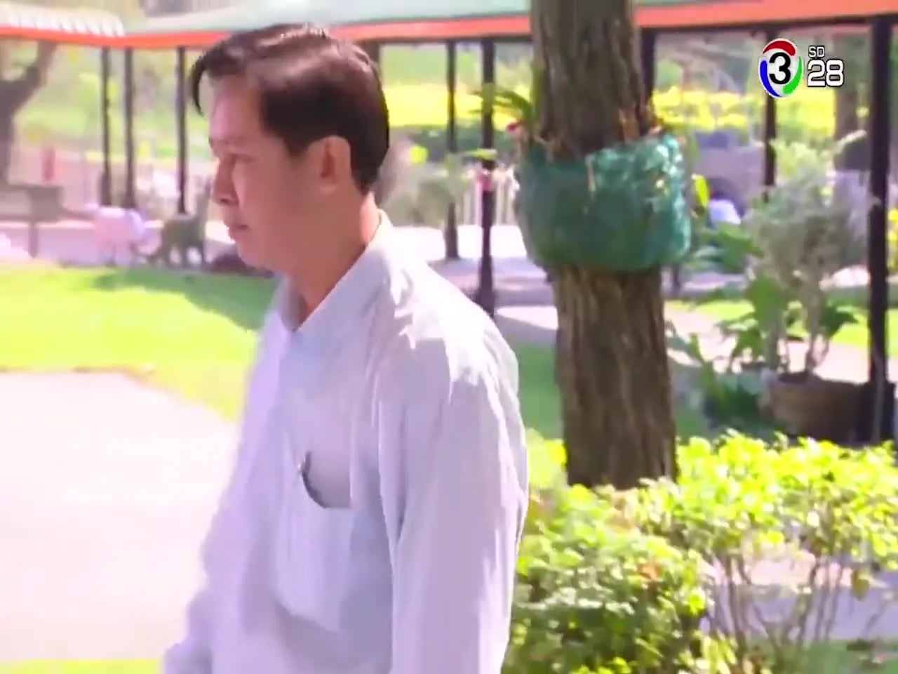 Аромат жасмина