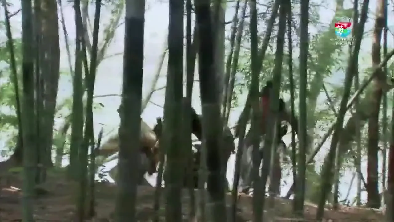 Терракотовый воин