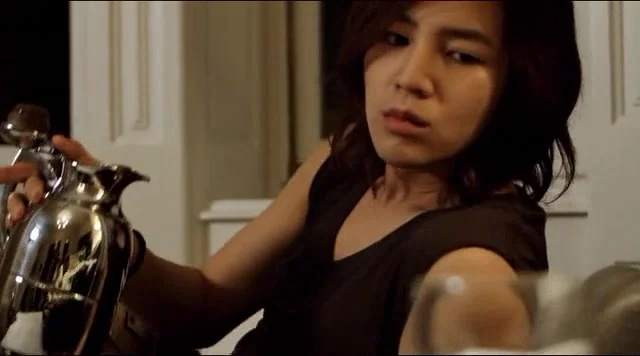 Дневник Будапешта