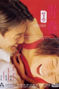  Сливовый цвет 