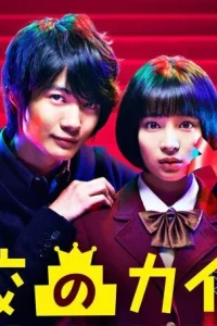  Лестницы школы 