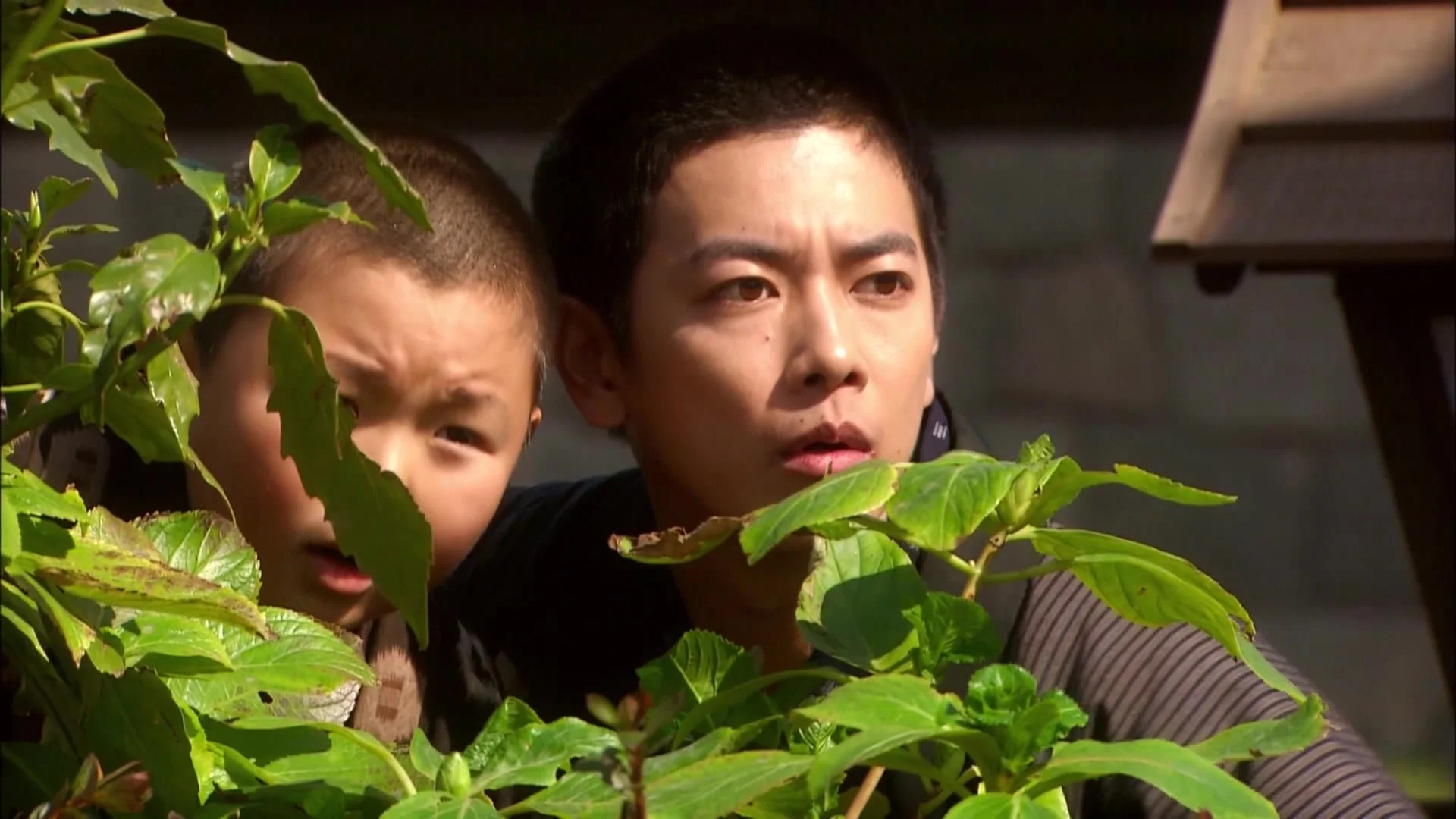 Повар императора