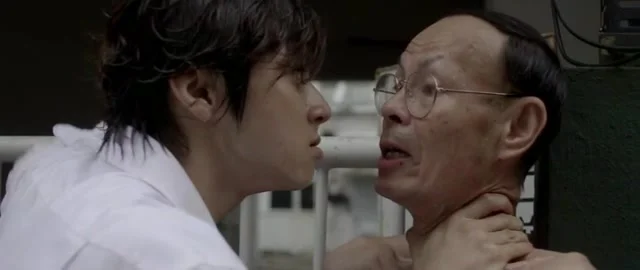 Бродячие псы