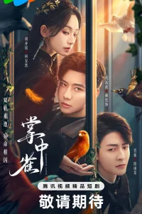  Птица в ладони 