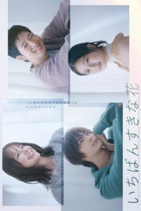  Мой любимый цветок 