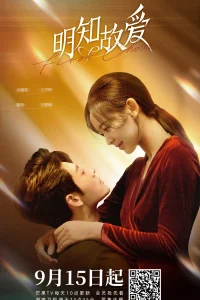  Первый выбор 