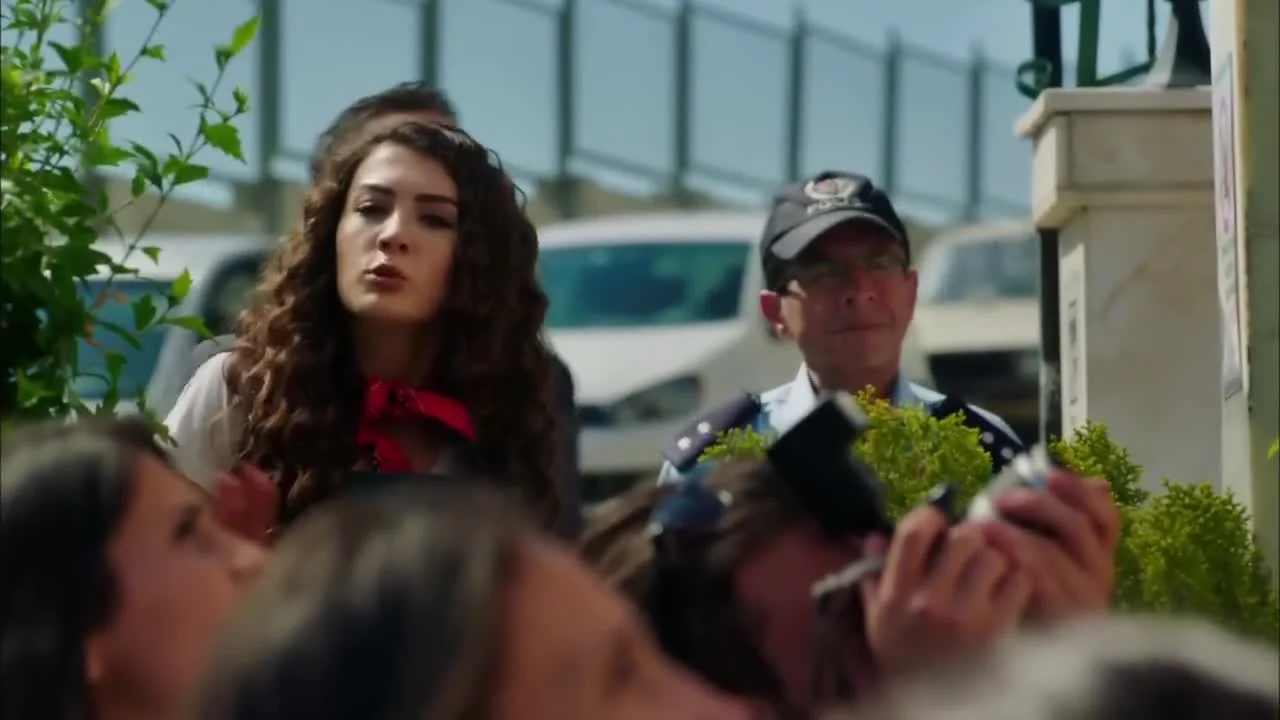 Замечательный зять