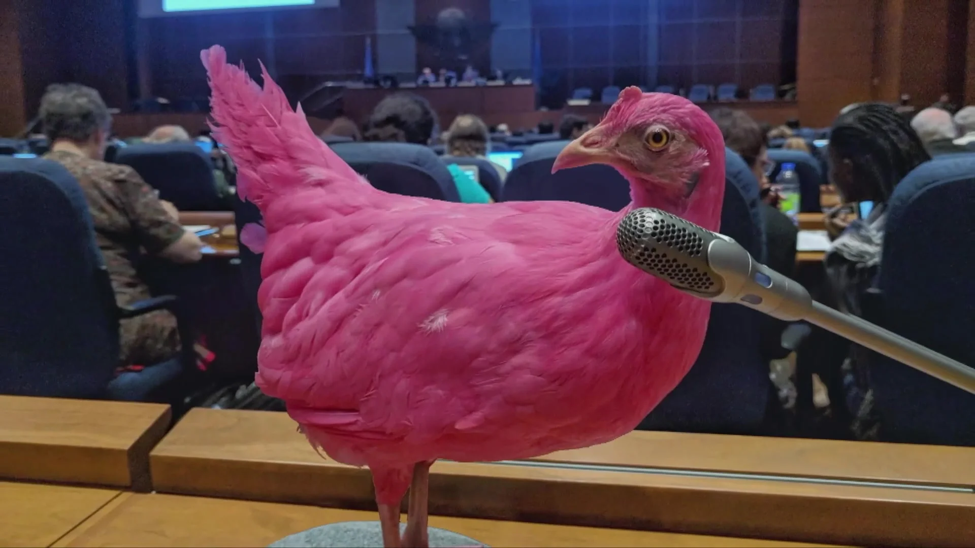 Антропоцен