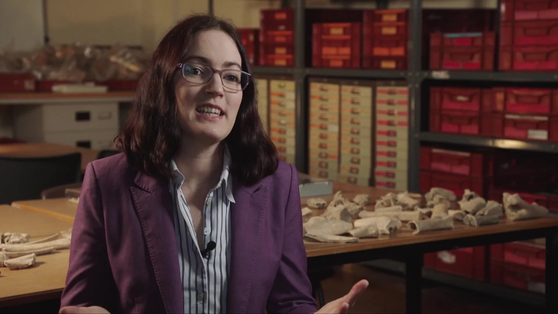 Антропоцен