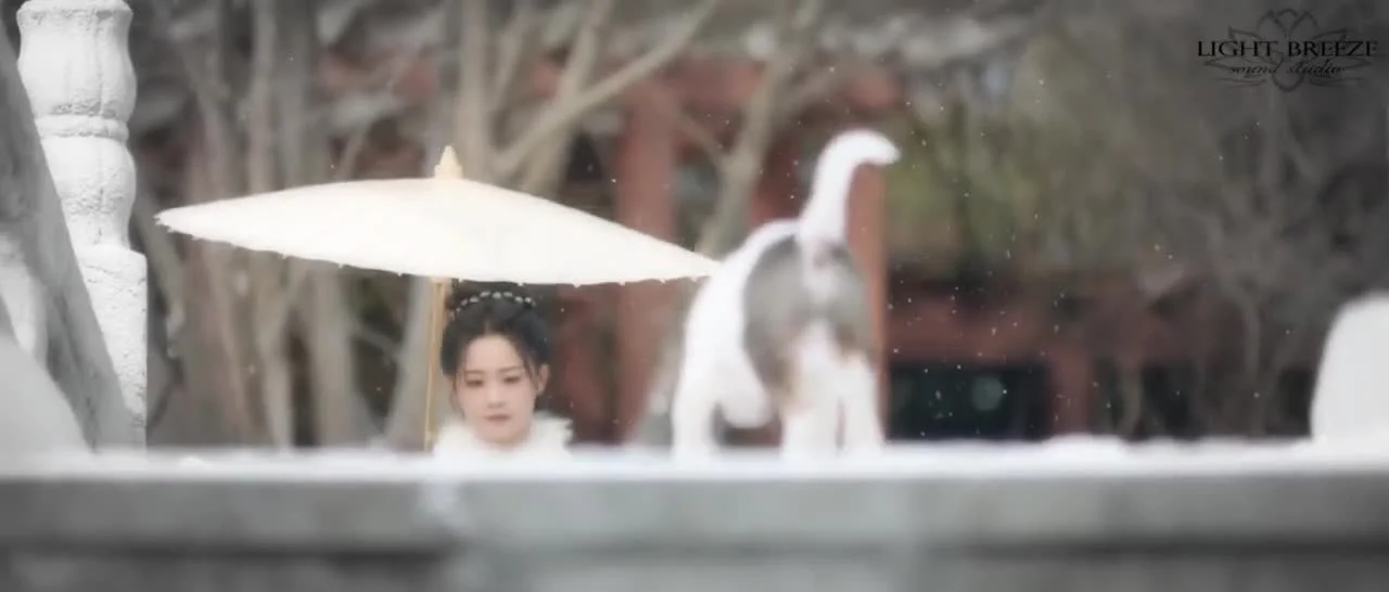 Маленькая жена генерала