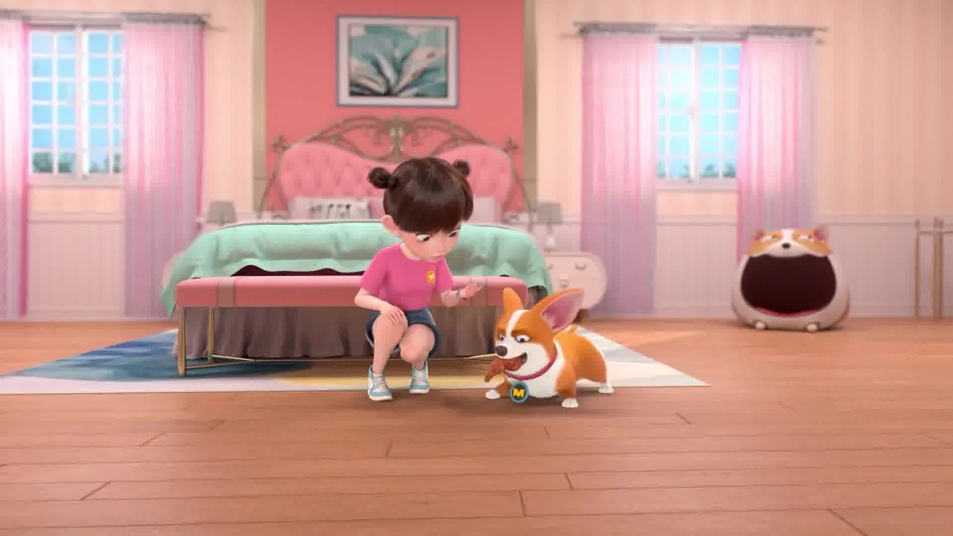 Корги по имени Моко. Новый питомец