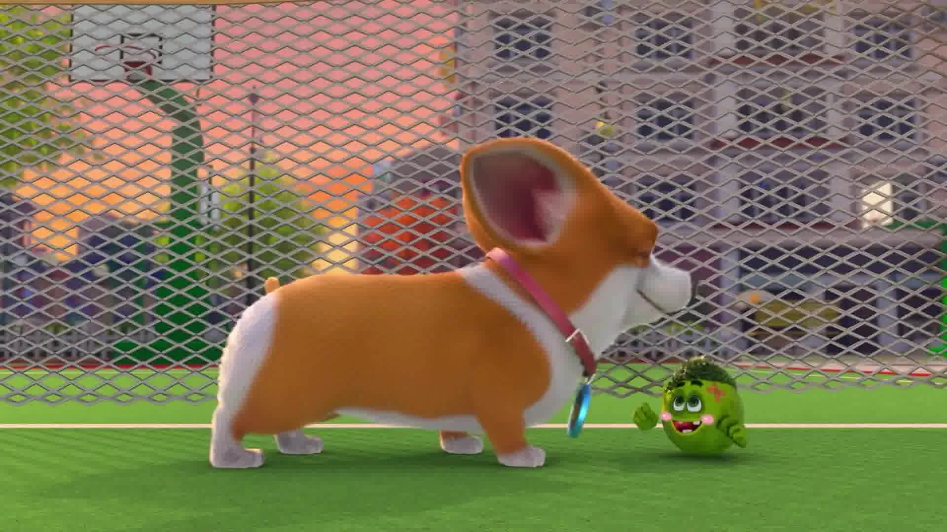 Корги по имени Моко. Защитники планеты