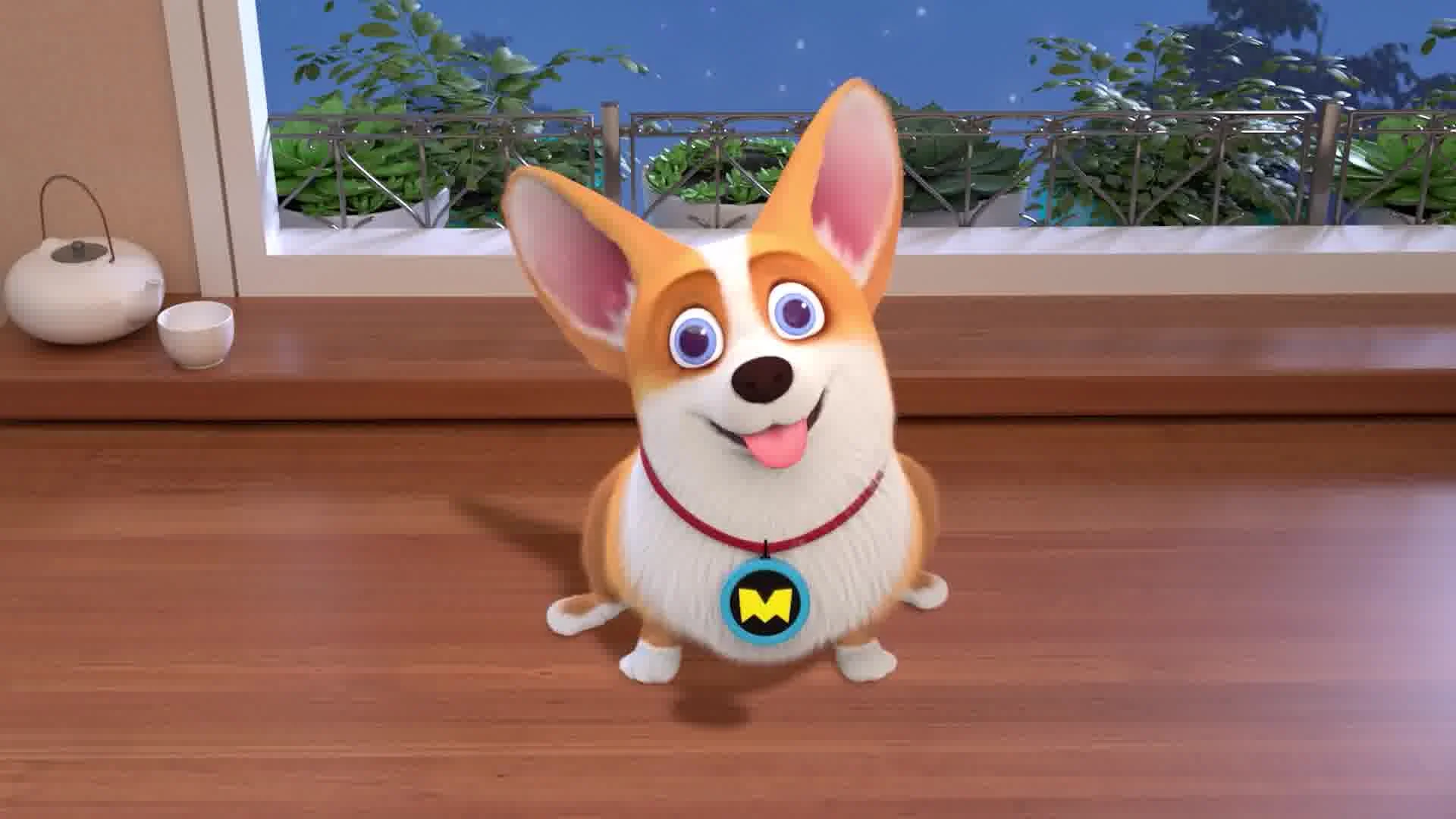 Корги по имени Моко. Простые истории