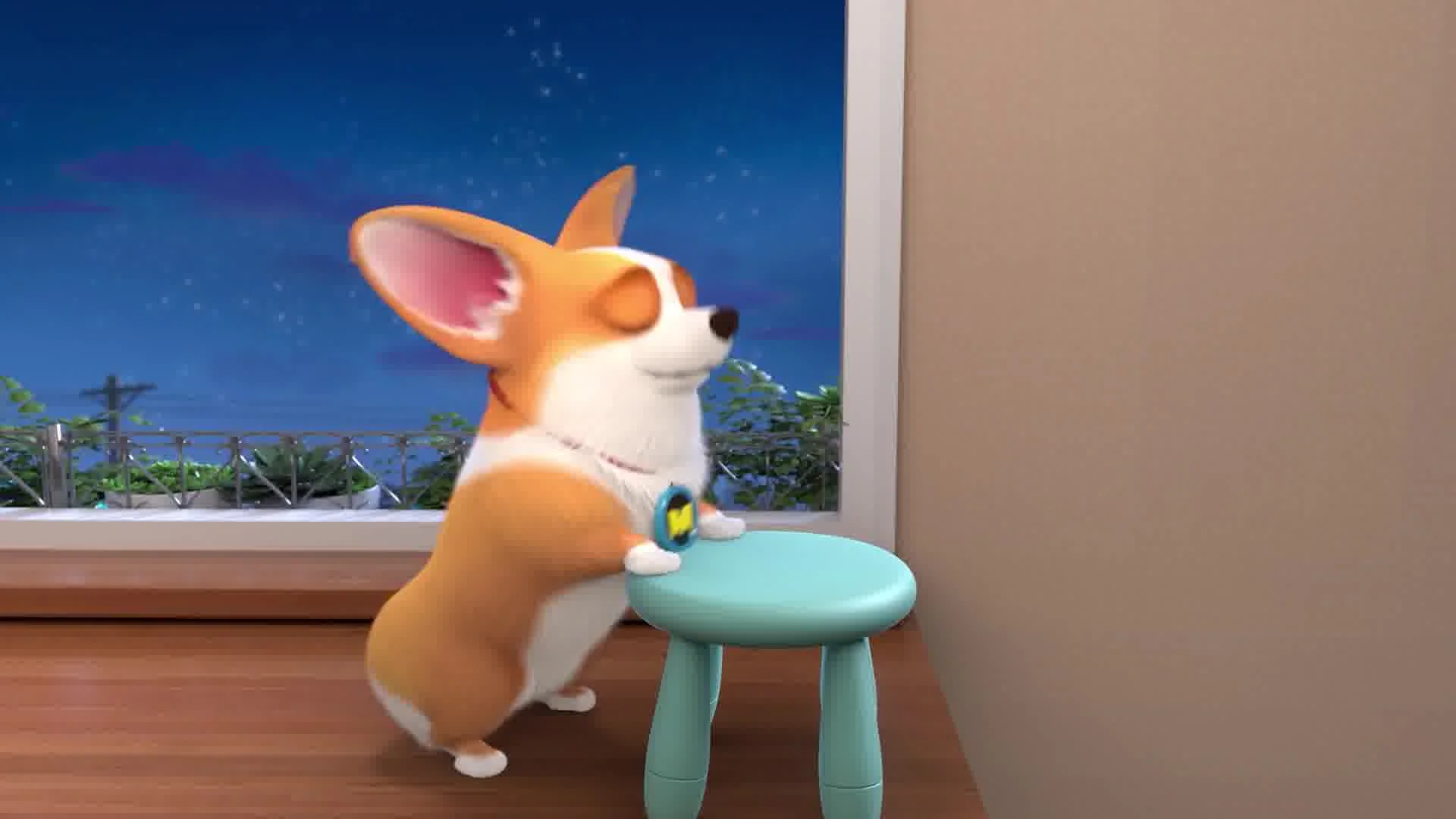 Корги по имени Моко. Простые истории