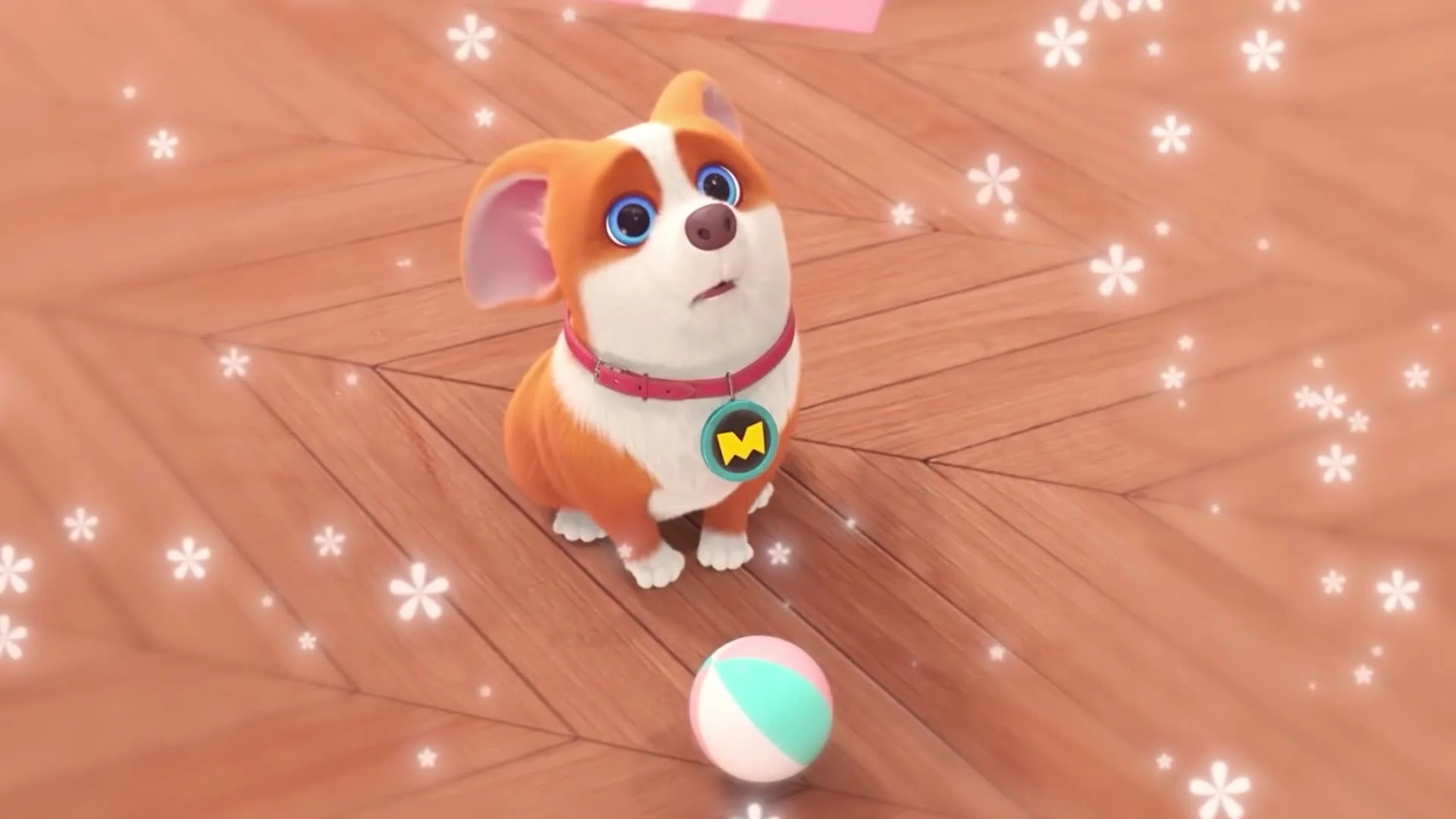 Корги по имени Моко. Заветные мечты