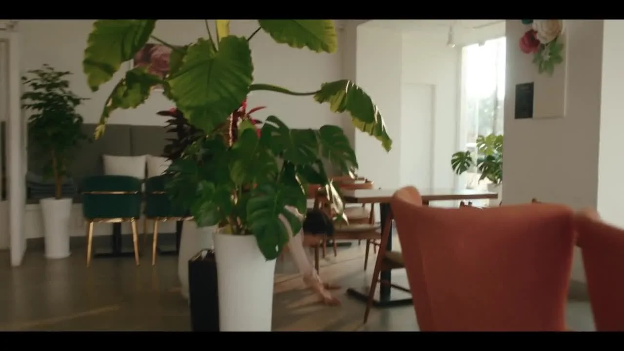 Мисс День и Ночь