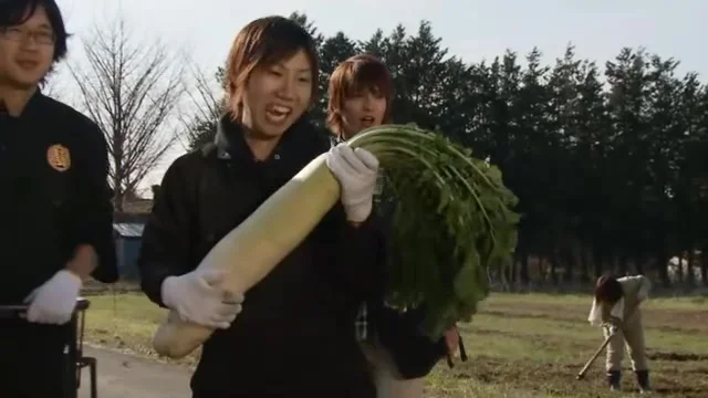 Сельскохозяйственные истории