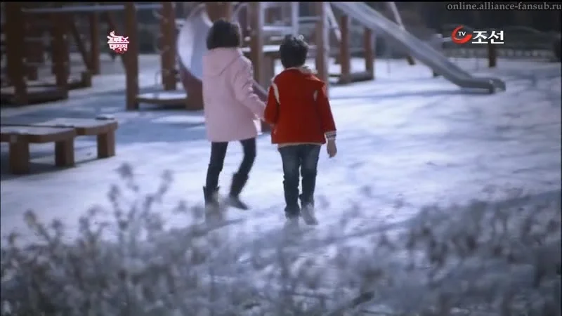 Операция «Любовь»