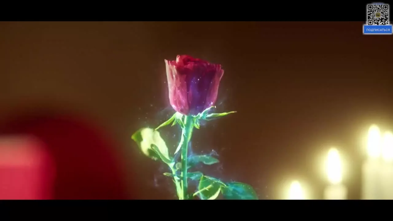 Тайный контракт ведьмы