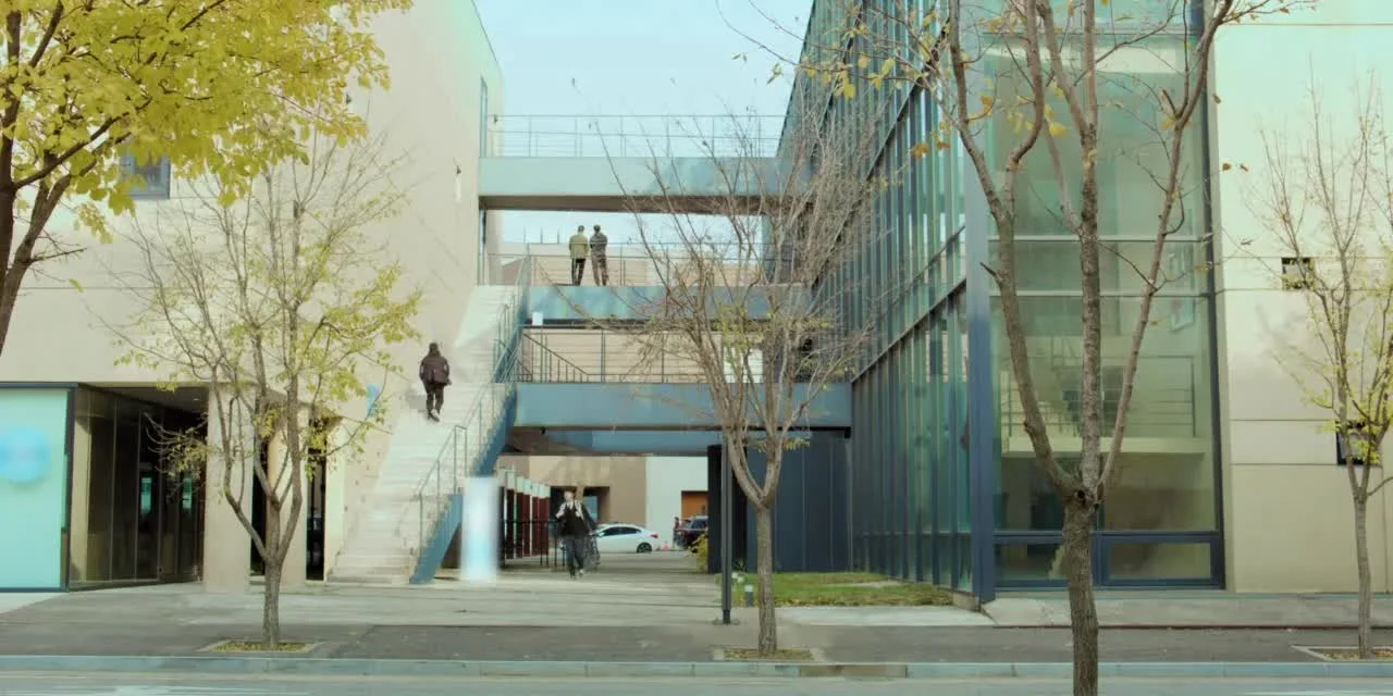 Следуя за ветром